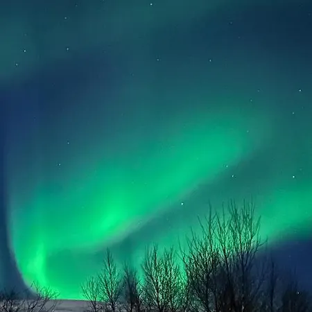Tromsdalen Aurora Tromso