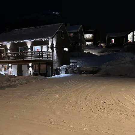 Tromsdalen Aurora *